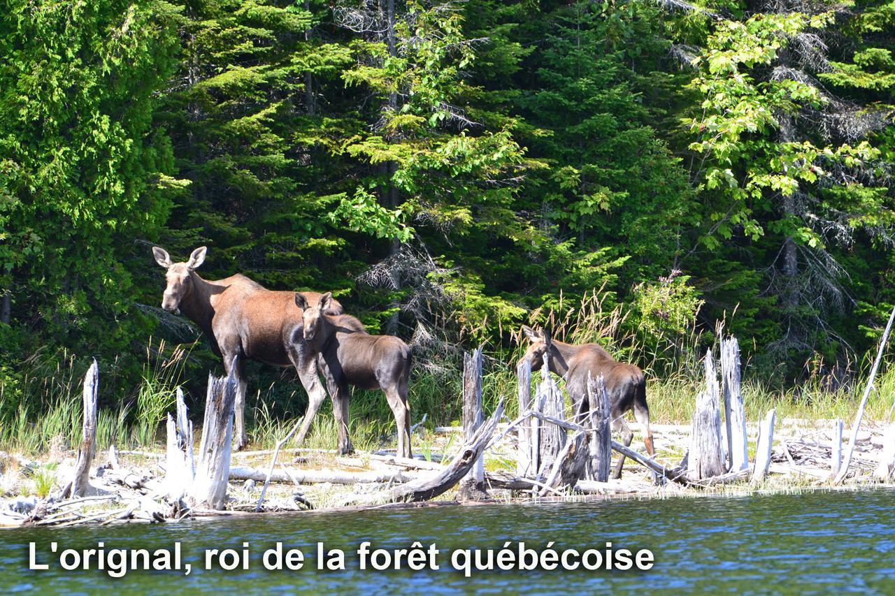 Club Tadoussac Villa Eksteriør billede